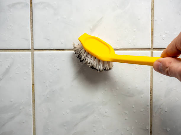 Best Certified Mold Removal  in Flippin, AR