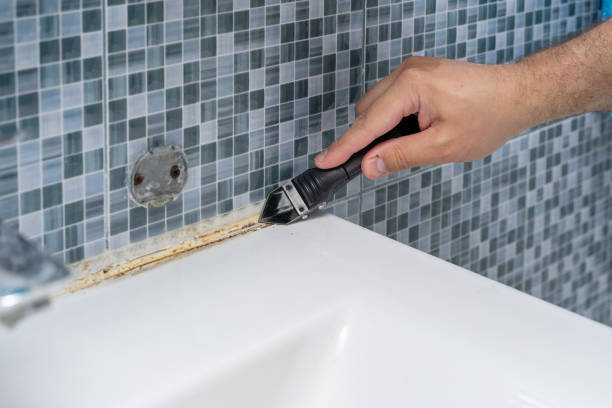 Best Affordable Mold Removal  in Flippin, AR